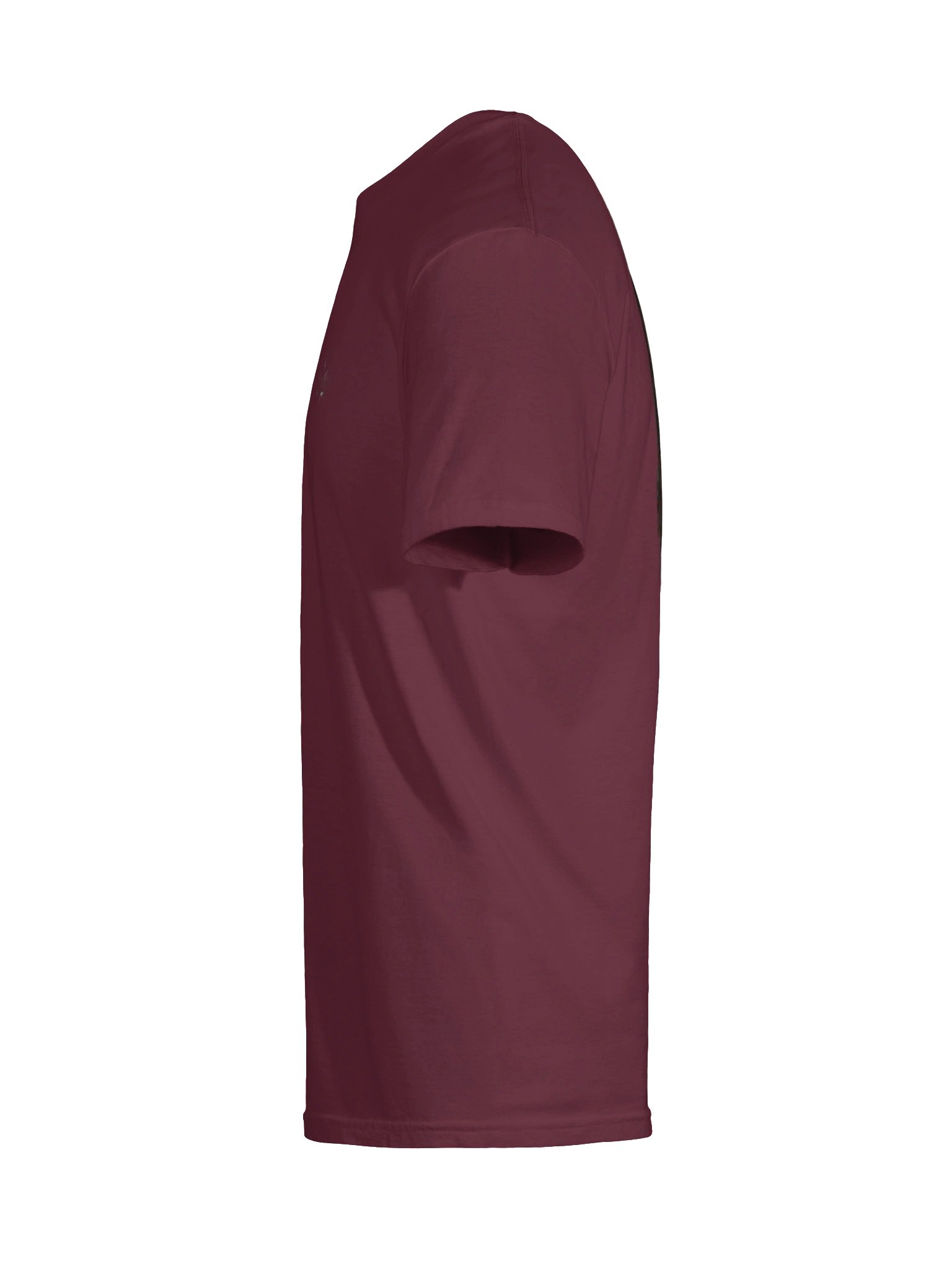 Tee-shirt Vikrant PREMIUM product image (9)