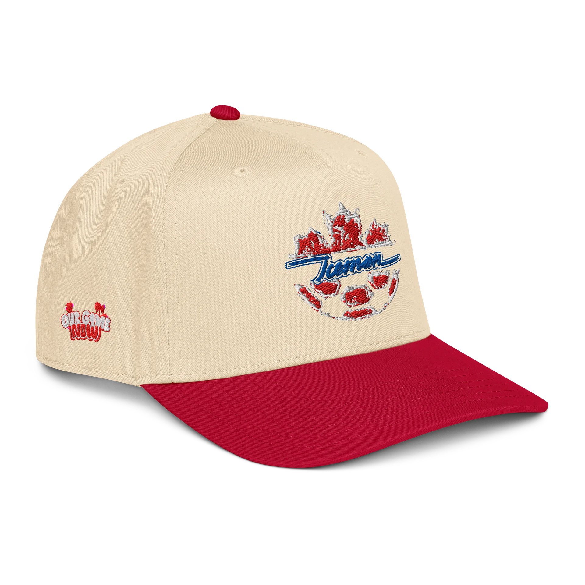 ICEMAN Snapback (CANADA) product image (3)