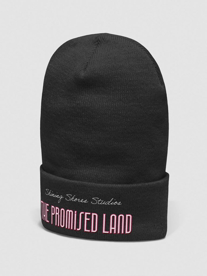 S³ The Promised Land Cuffed Beanie product image (2)