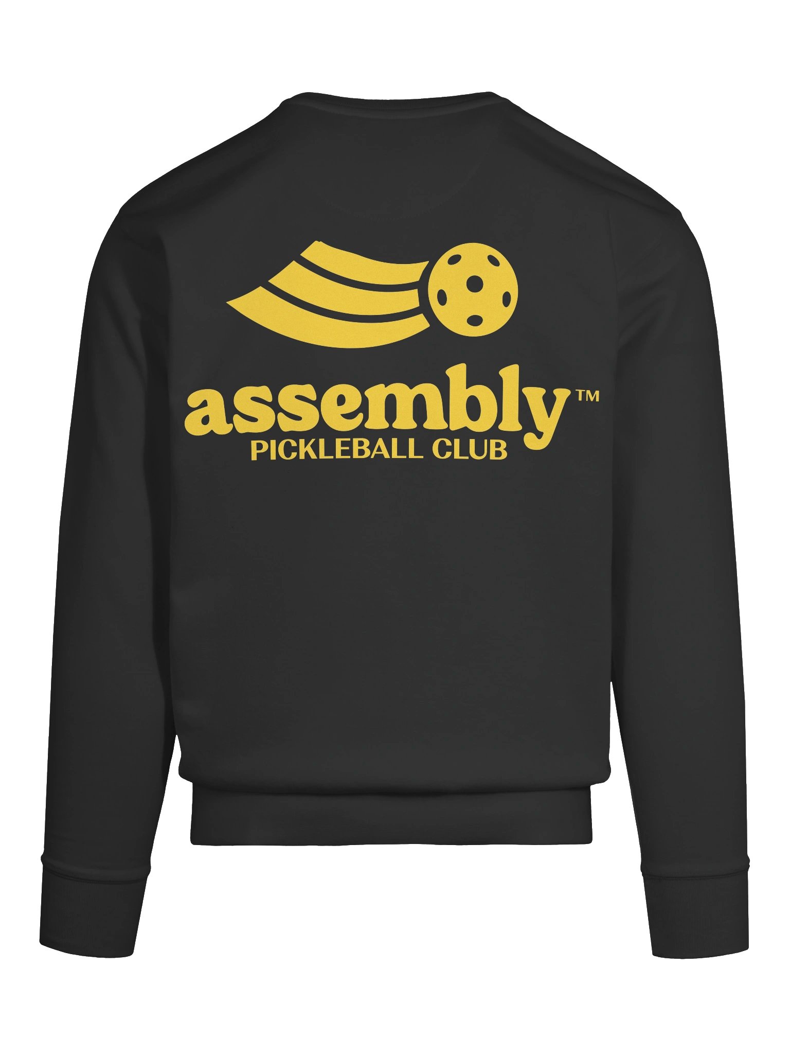 Protest Sweatshirt product image (11)