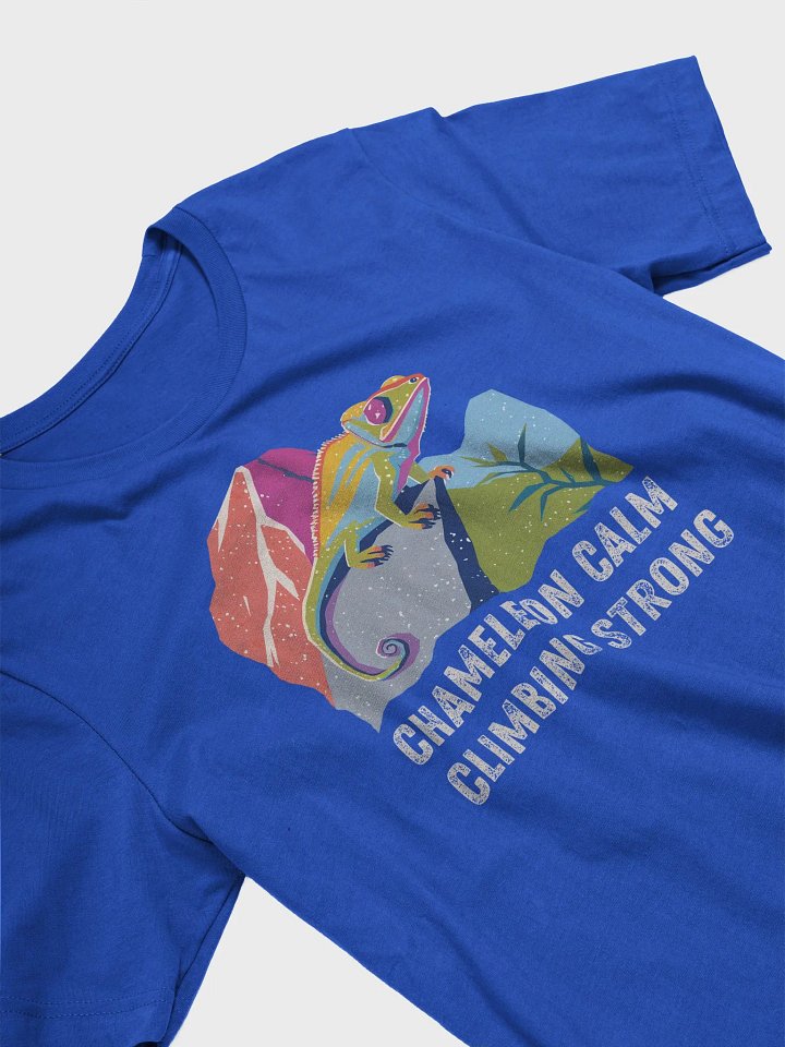 Chameleon Calm - Climbing T-Shirt product image (50)