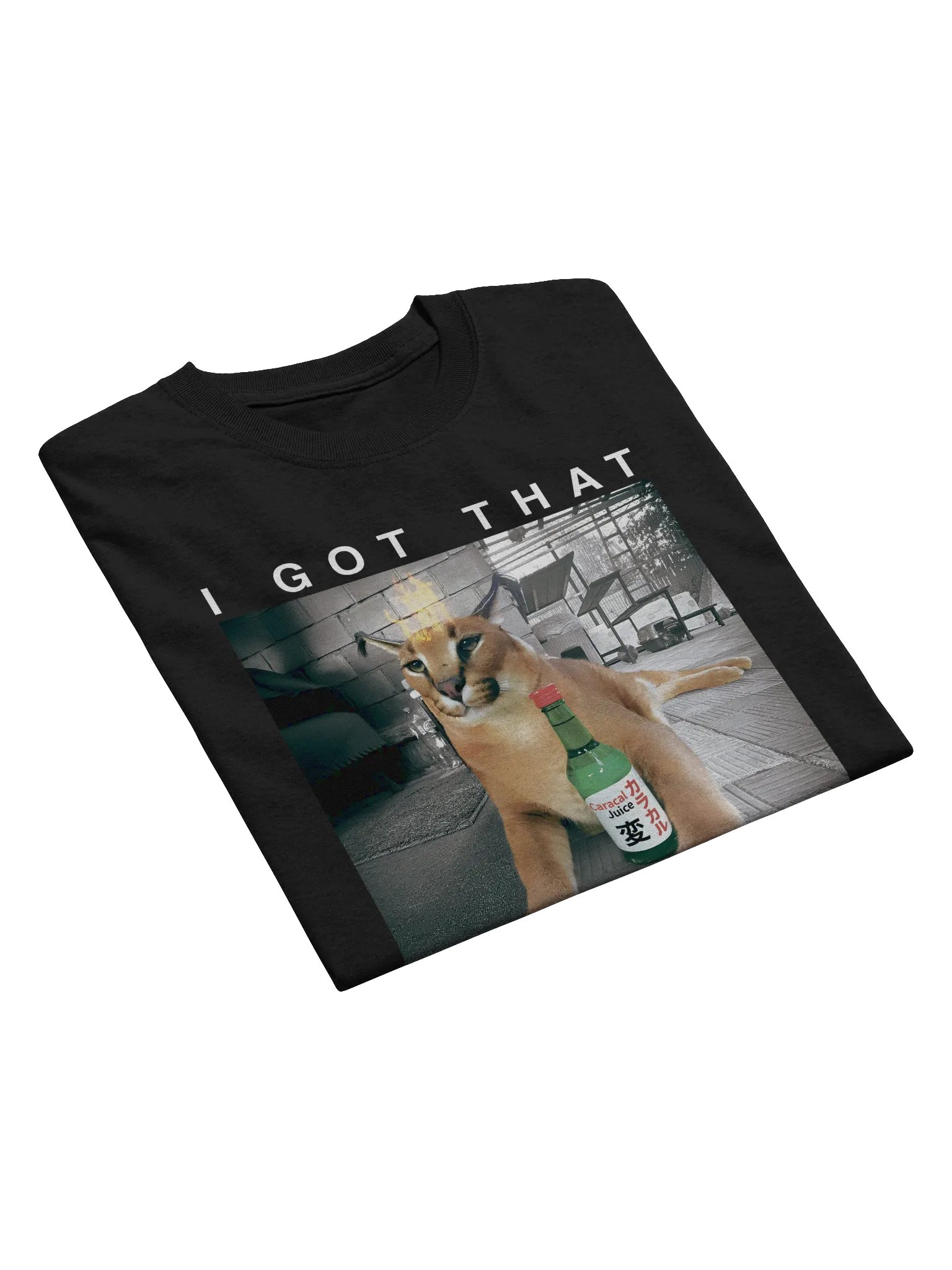 "I GOT THAT DOG IN ME" Classic T-Shirt product image (4)