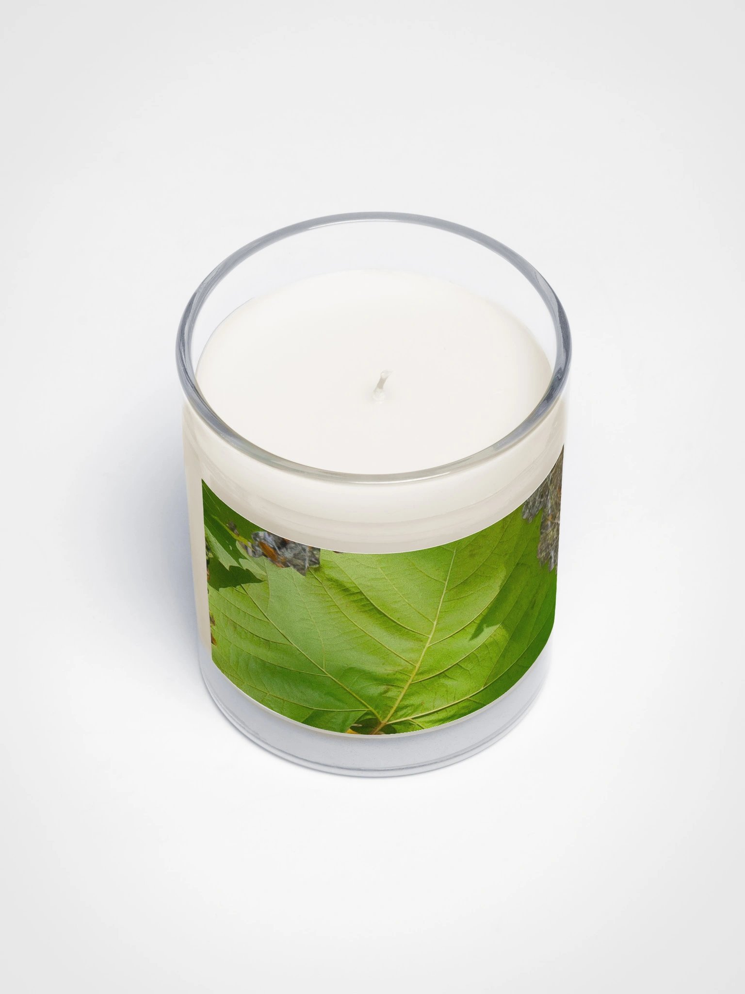 Veins of Nature Soy Candle product image (3)