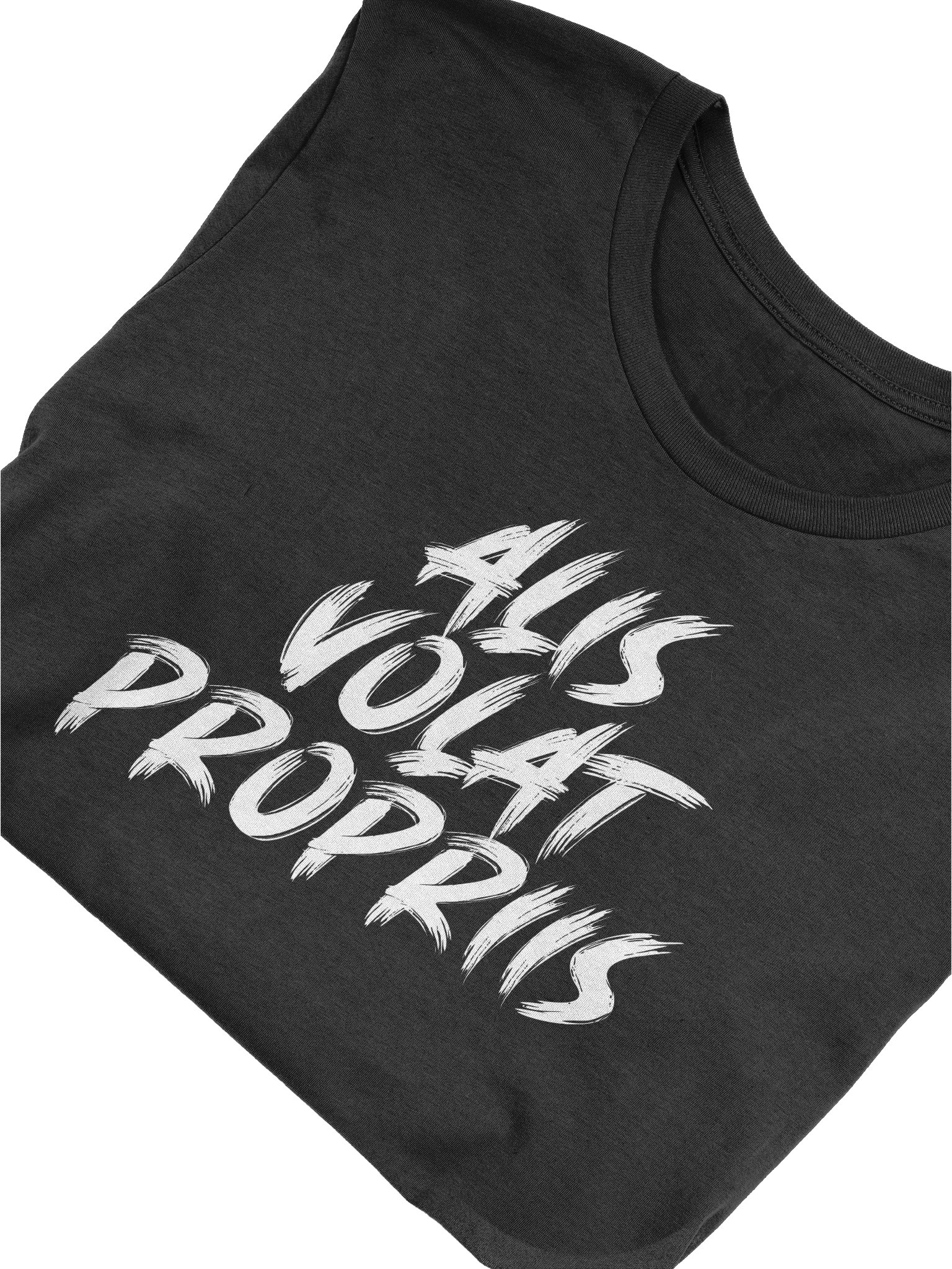 Alis Volat Propriis Bold Brush T-Shirt product image (5)