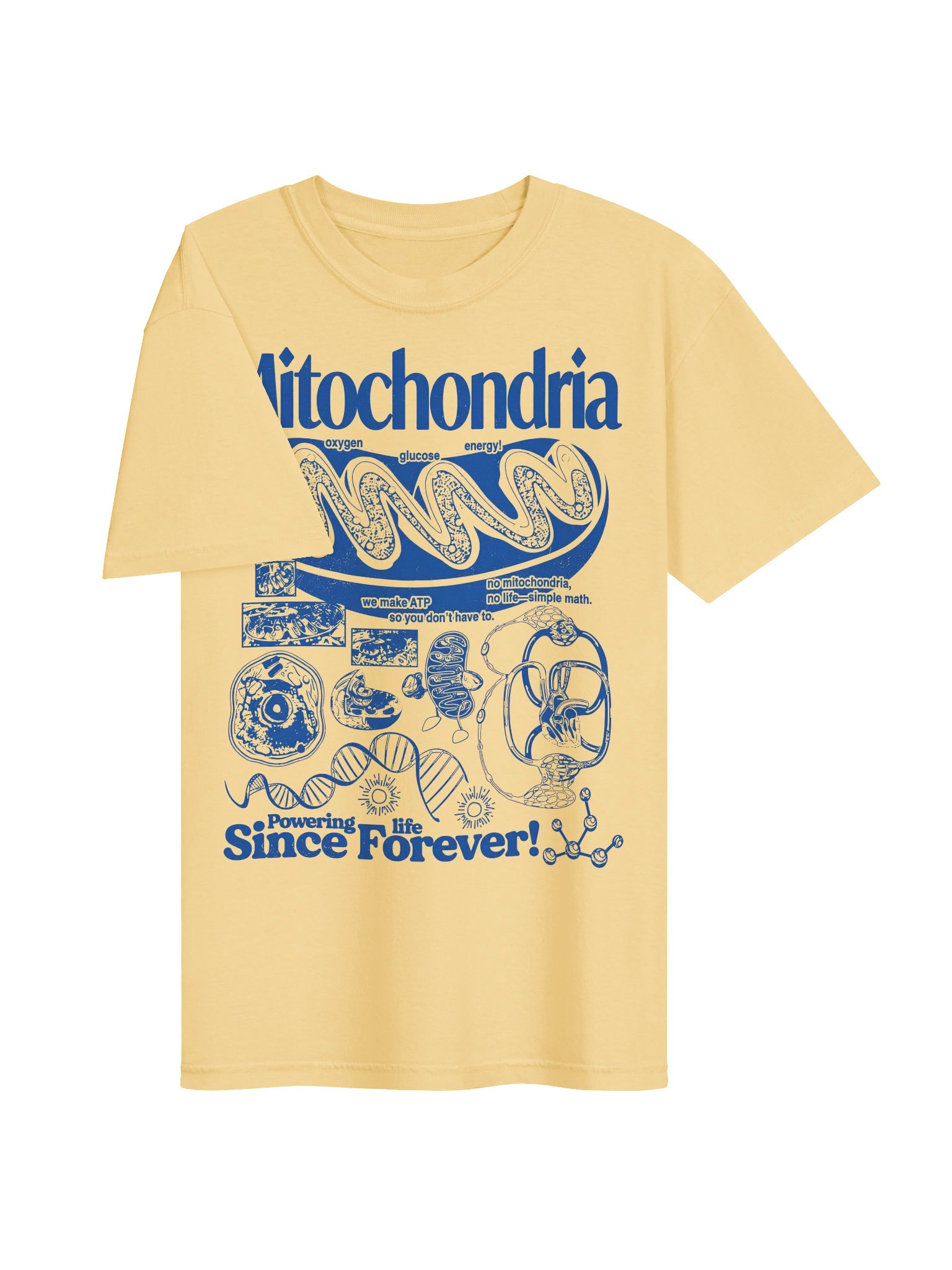Mitochondria Graphic Tee,Biology Teacher Shirt, Comfort Colors Science Graphic Tee, Unisex product image (63)