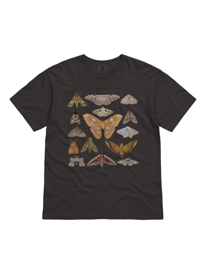 Vintage Moth Illustration Shirt – Dark Academia Insect Collage Tee, Gothic Nature Graphic product image (11)