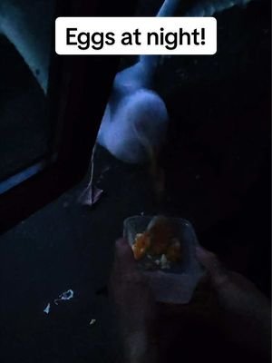 Nothing beats a couple of hard boiled eggs at midnight…  #fyp #foryou #seagull #feedingsteven #birds