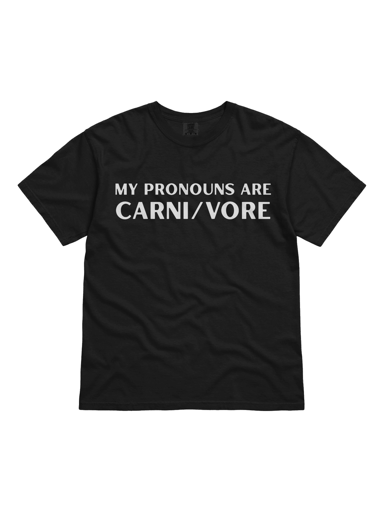 Shirt - My Pronouns Carnivore product image (12)
