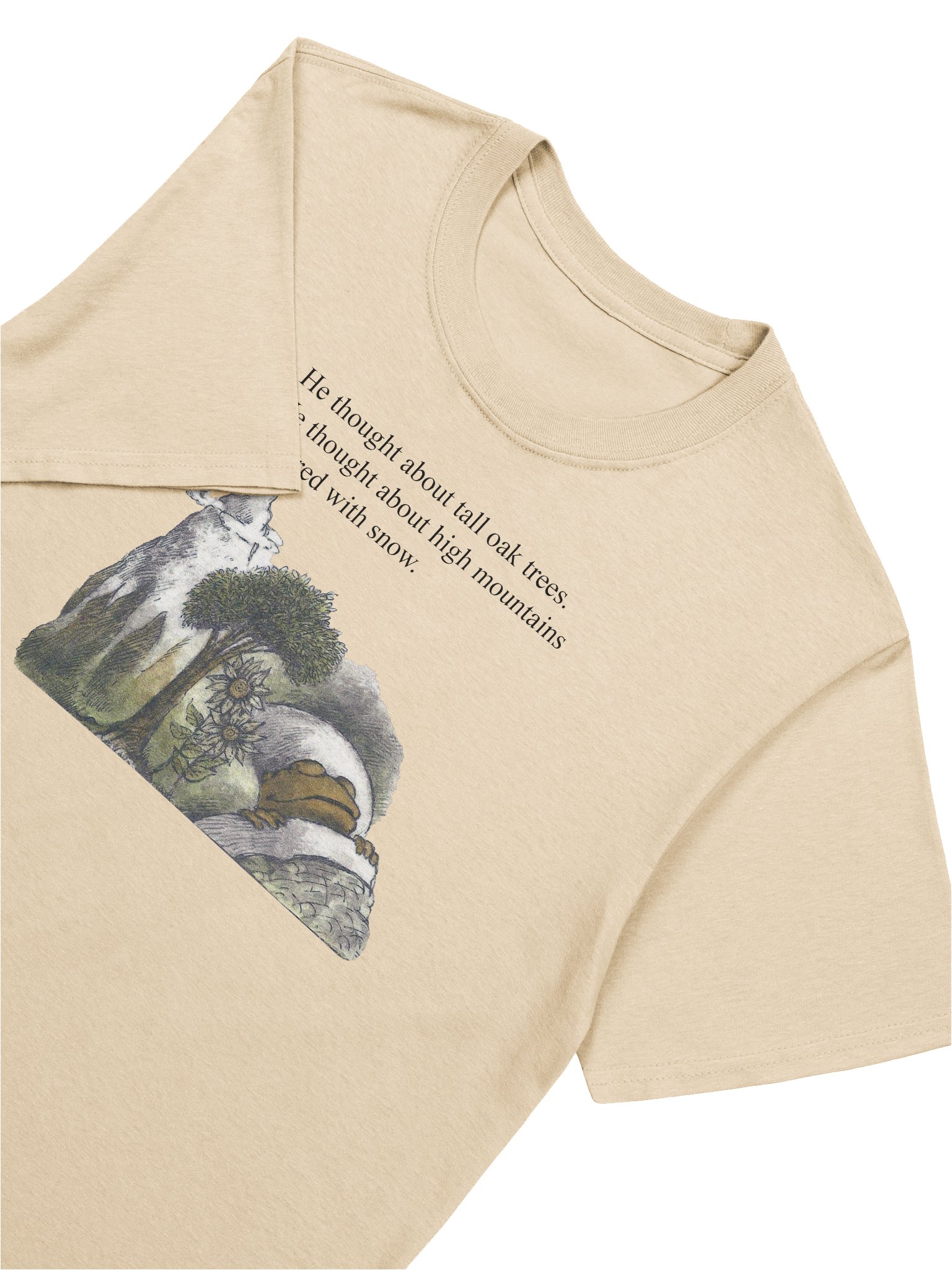 Frog and Toad Dream Unisex T-Shirt product image (3)
