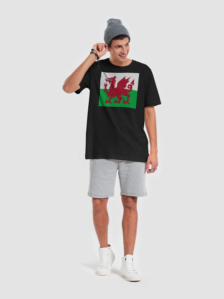 Exclusive Supersoft Unisex Welsh Flag T-Shirt by Graphic Grove product image (1)