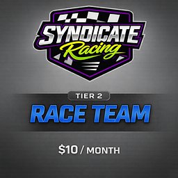 🔵 Tier 2: Race Team