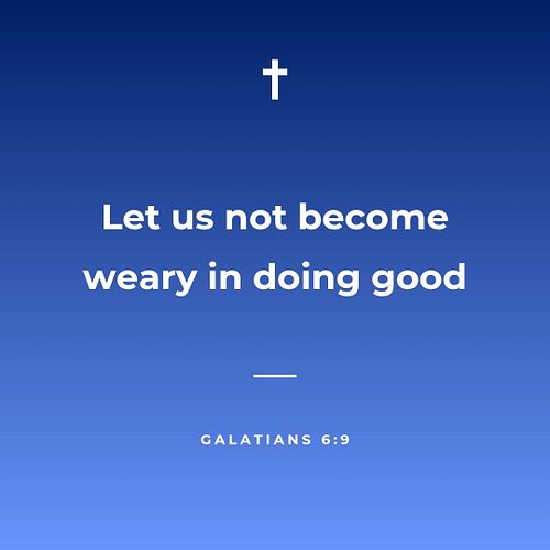 Don't drop your cross. Renew your strength in the Lord and keep carrying it.

