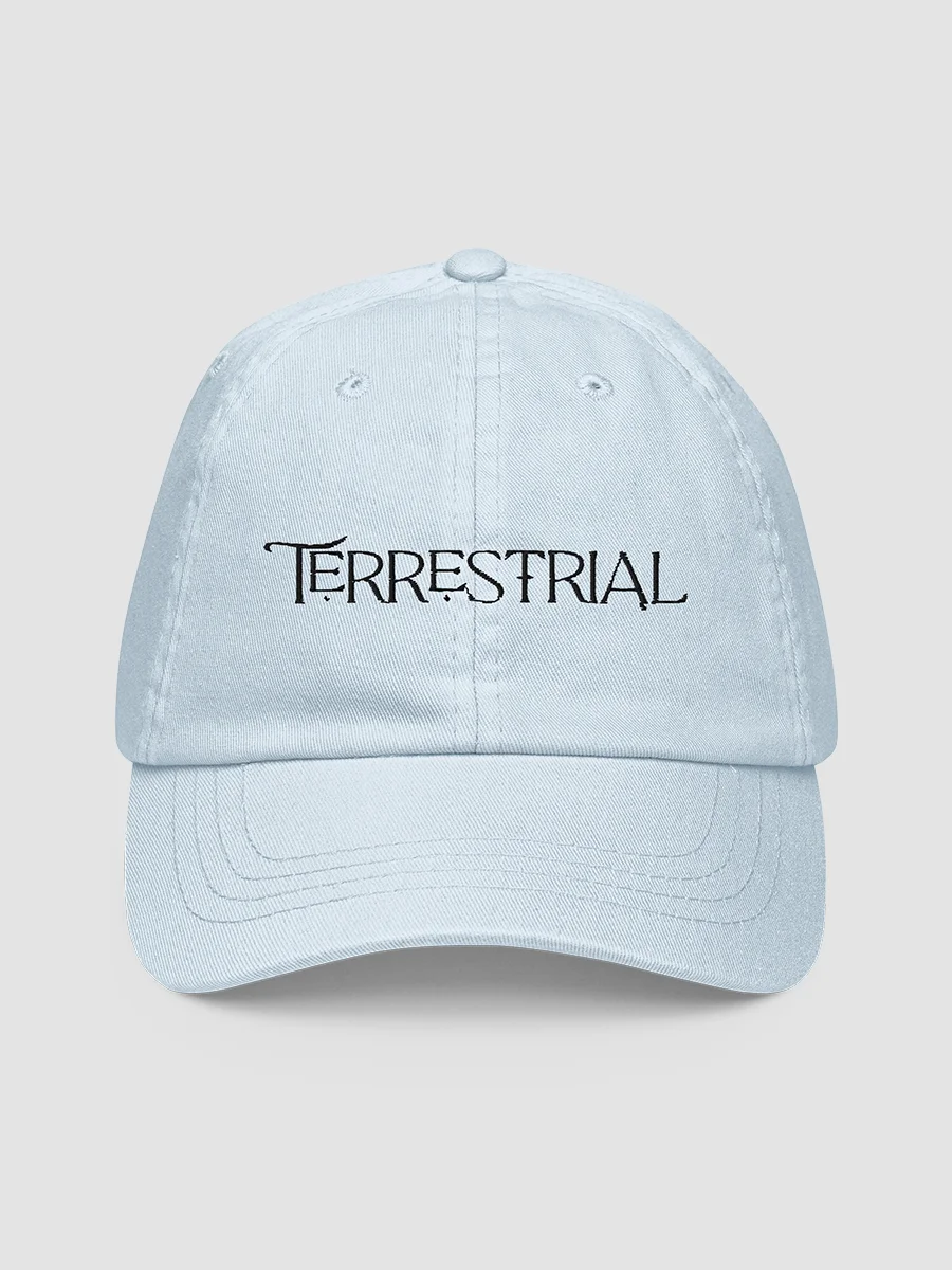 Terrestrial Logo Hat product image (4)