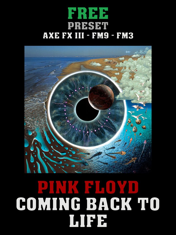 Pink Floyd - Coming Back To Life (PULSE) | Free Preset | Axe FX III - FM9 - FM3 product image (1)