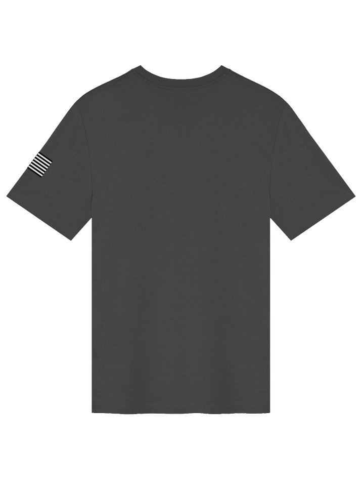 Patriotic USA 250th Anniversary - Organic Tee product image (2)