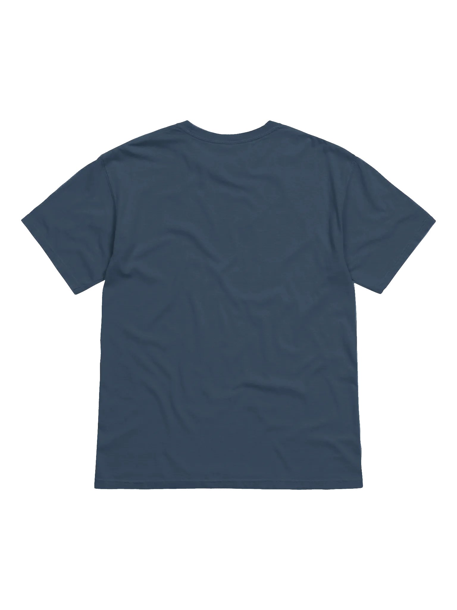 Earth Bloom Heavyweight Tee product image (56)