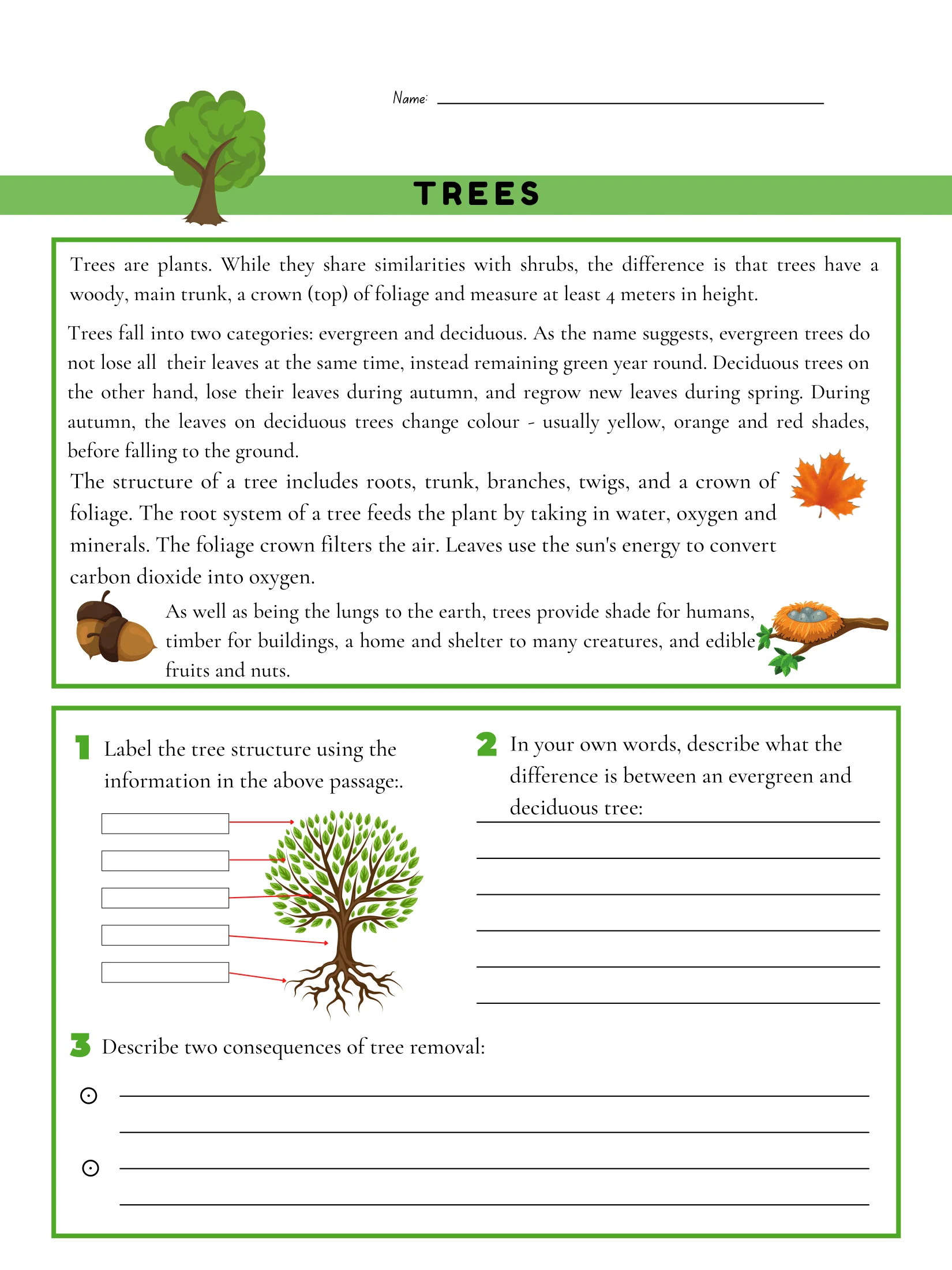 Trees. Earth's Lungs. PPTx. Discussion. product image (5)