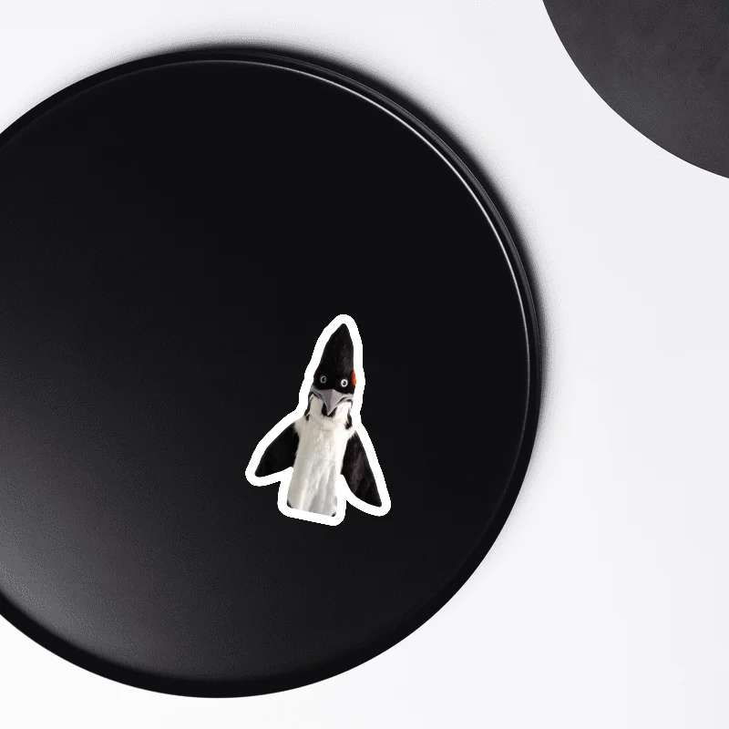 BIRD Magnet product image (1)