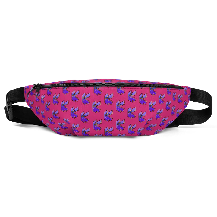 The Best Fanny Pack product image (1)