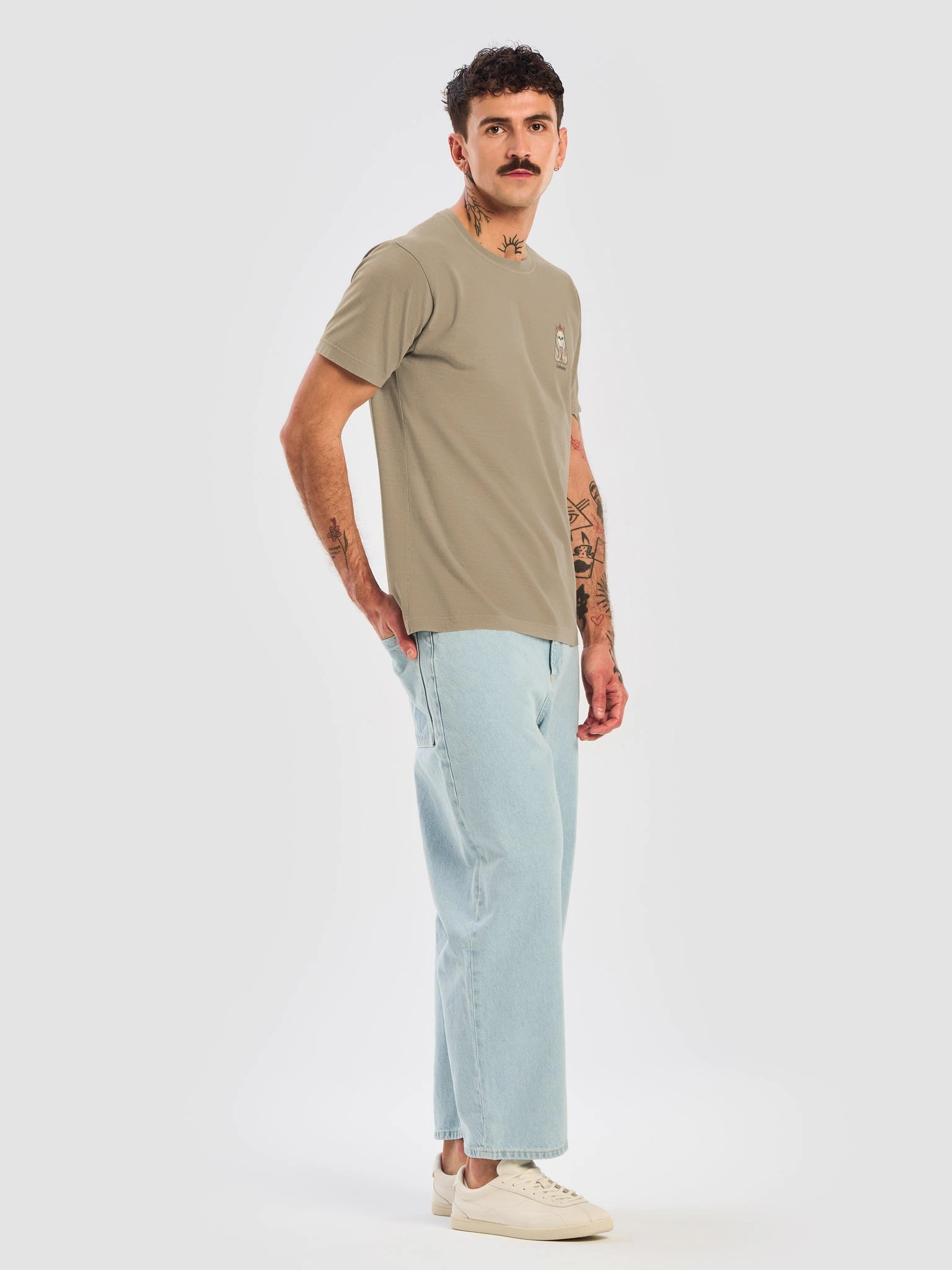 Chaihuahua product image (4)