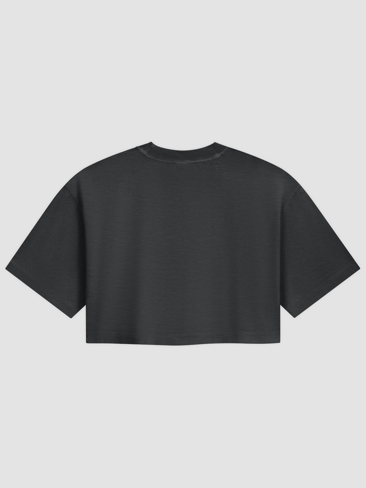 GZN Cropped Tee product image (2)