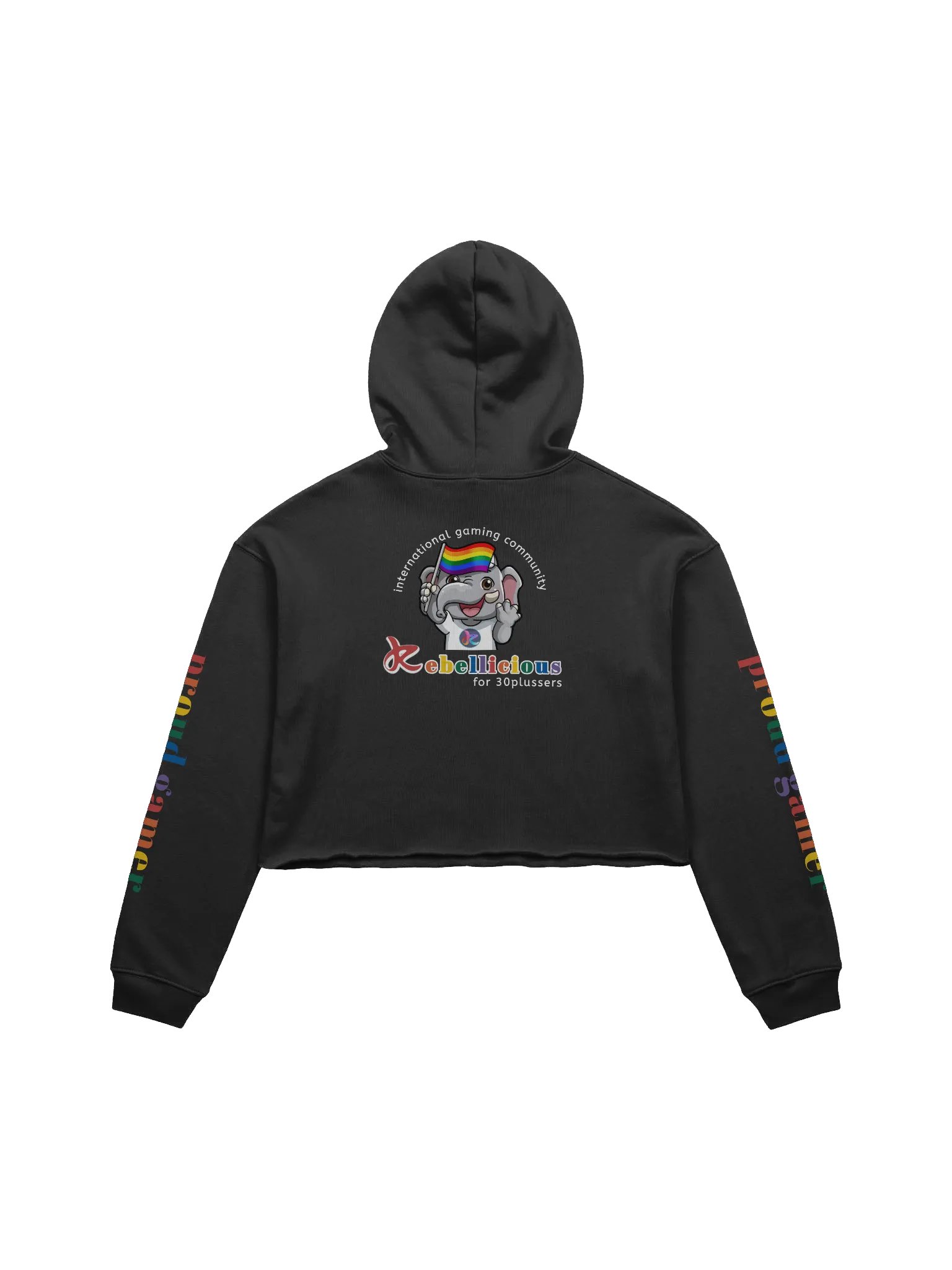 Pride Crop Hoodie product image (4)