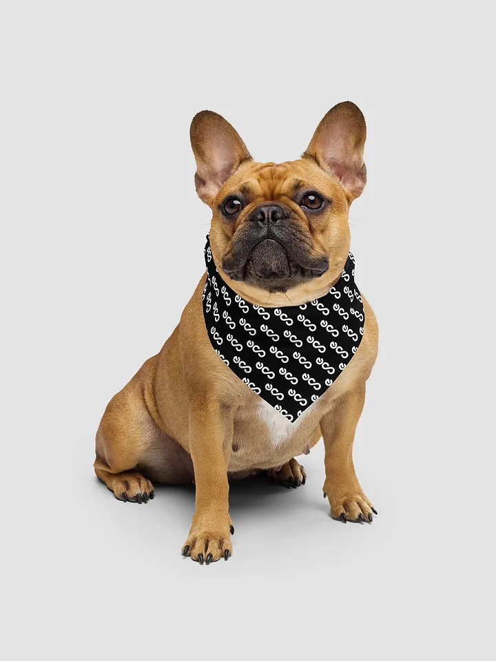 All-Over Print Bandana product image (1)