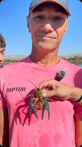 Did you know we have these creatures in our river! 🦀🦀