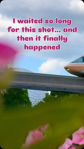 I had this EPCOT Short in my head for weeks. Flowers in the foreground, the monorail gliding through, and Spaceship Earth sit...