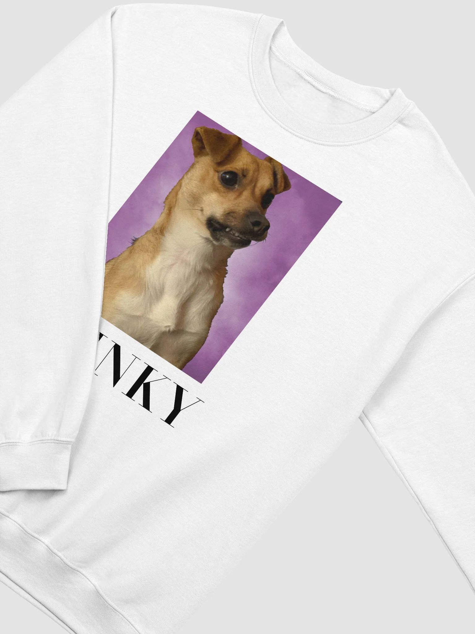 Stinky dog sweatshirt product image (2)