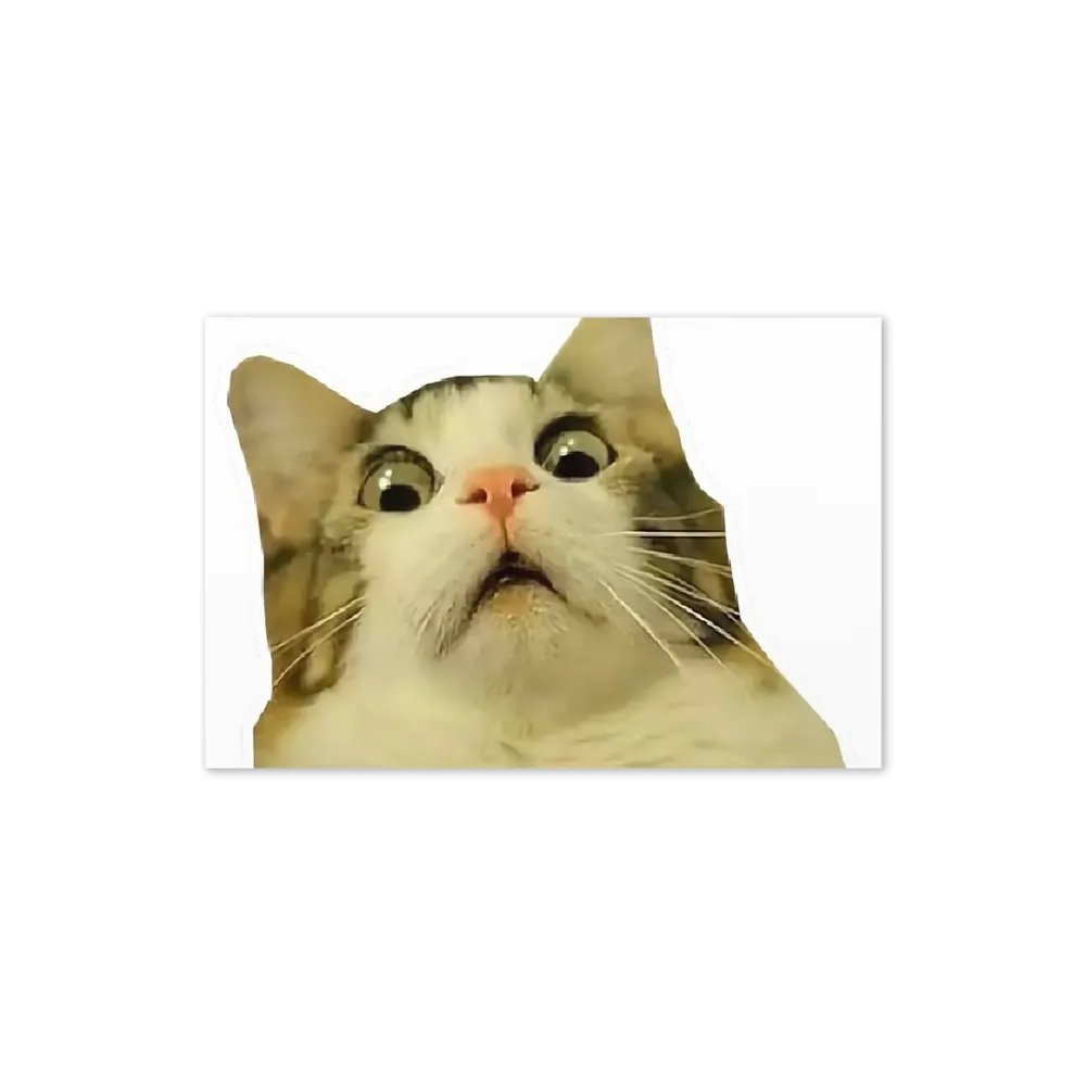 Greeting Card: Meme Cats product image (22)