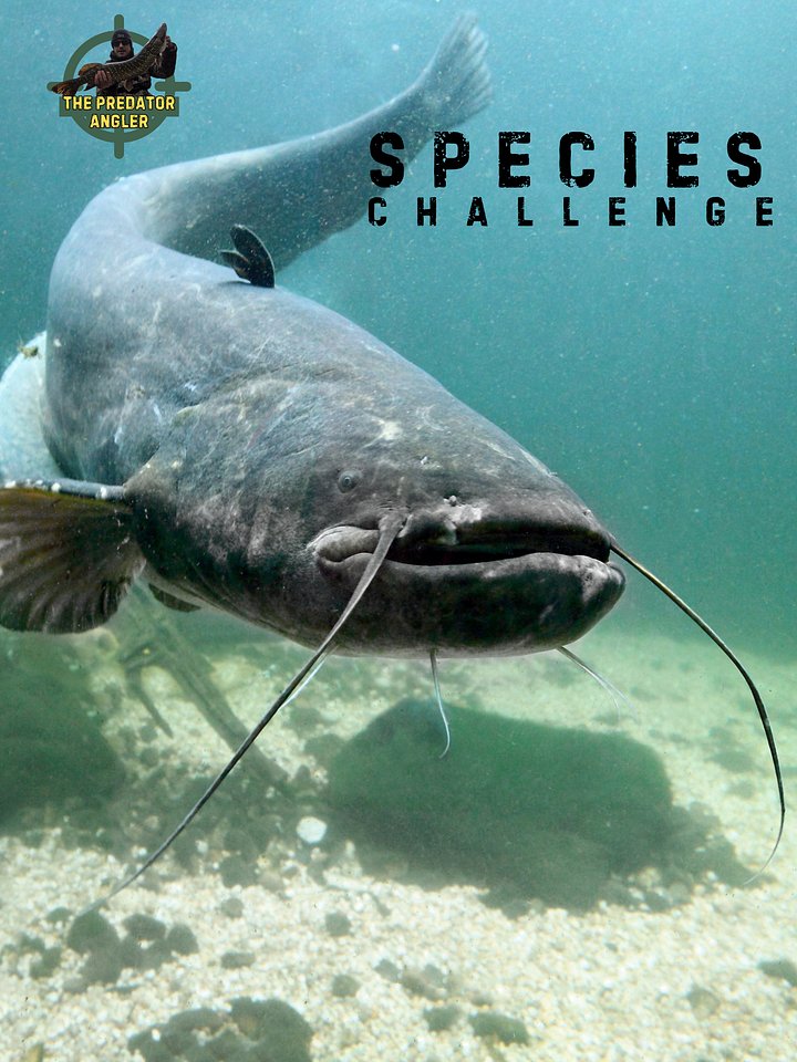 Species Challenge 2026 product image (1)