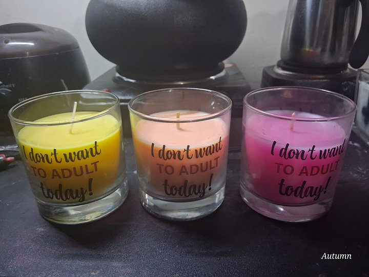 I don't want to Adult today Candle product image (1)