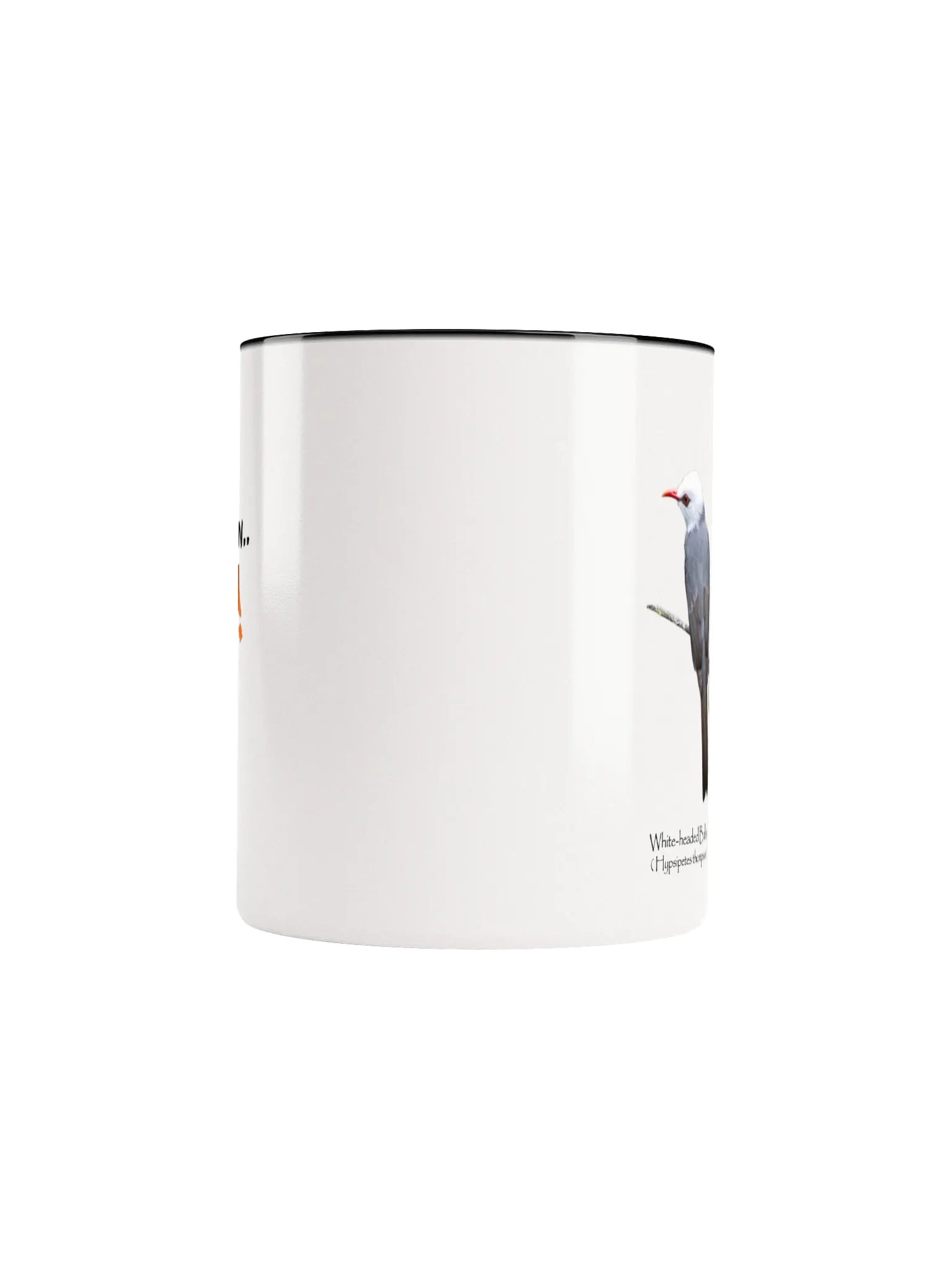 White-headed Bulbul mug product image (41)