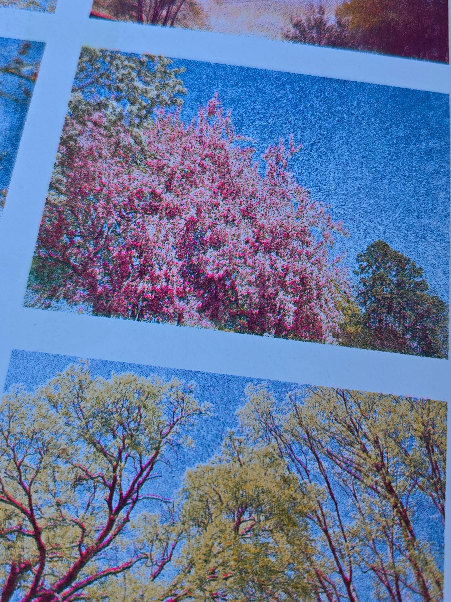 Minneapolis Spring Photos Riso Print product image (4)