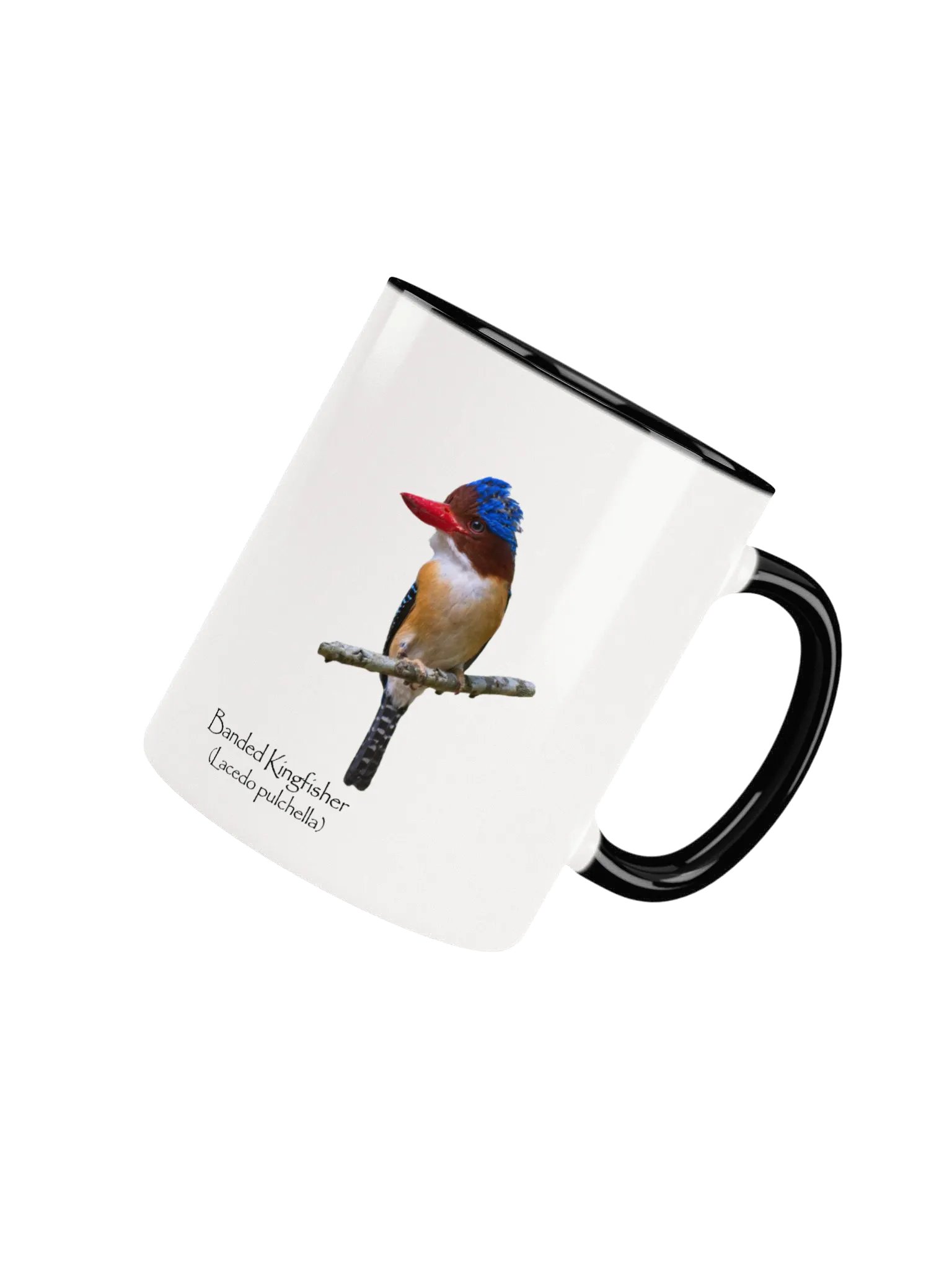 Banded Kingfisher mug product image (4)