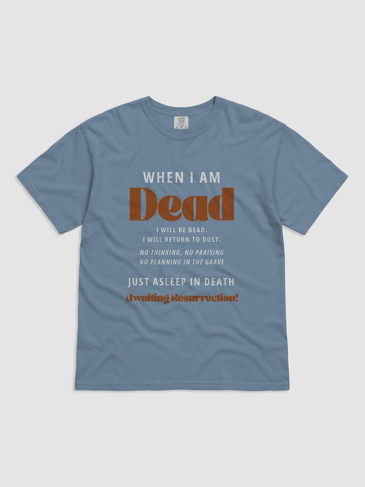 What Happens when we die Relaxed Fit Heavyweight T-Shirt product image (1)