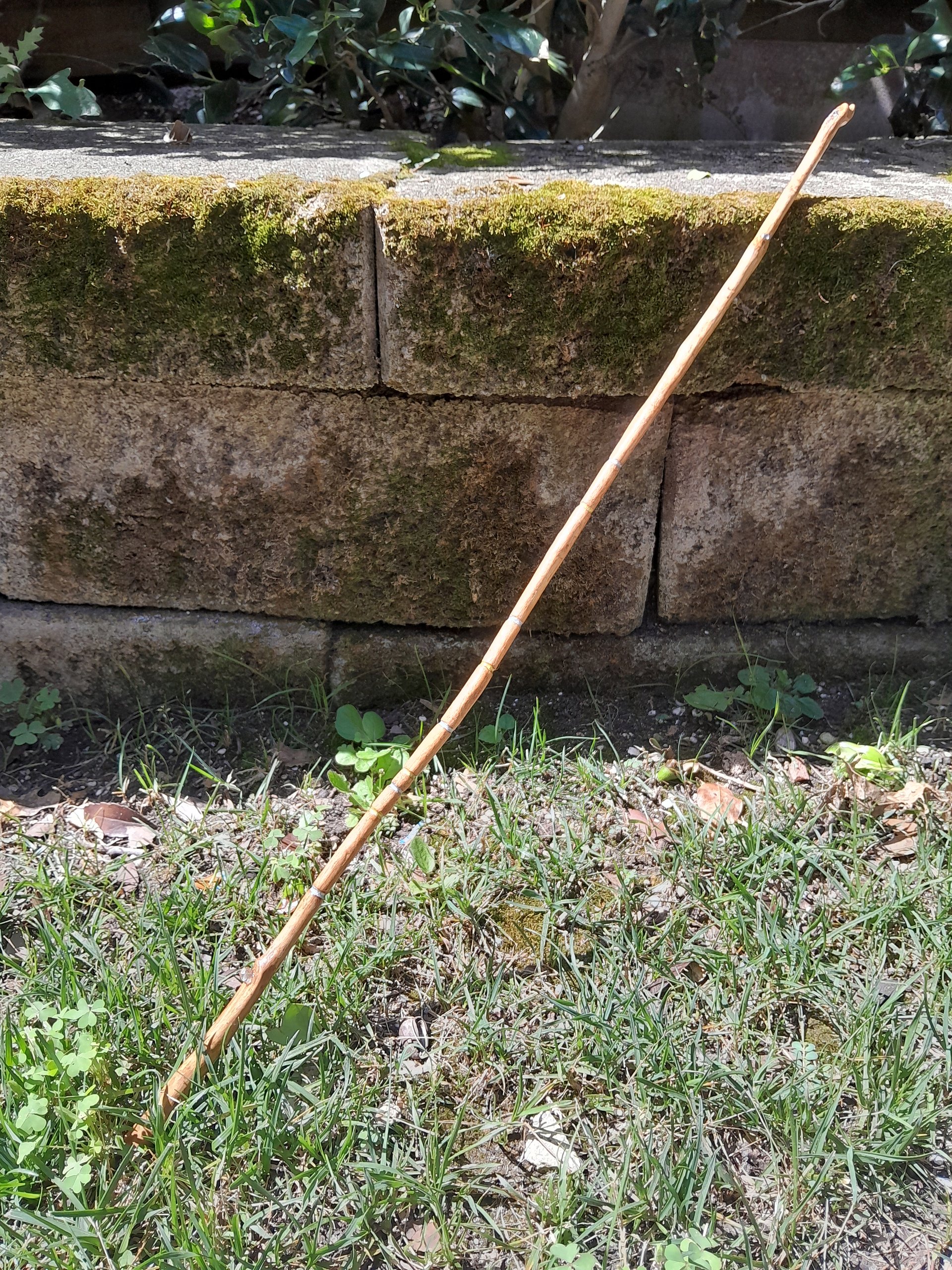 Professor's Wand product image (1)