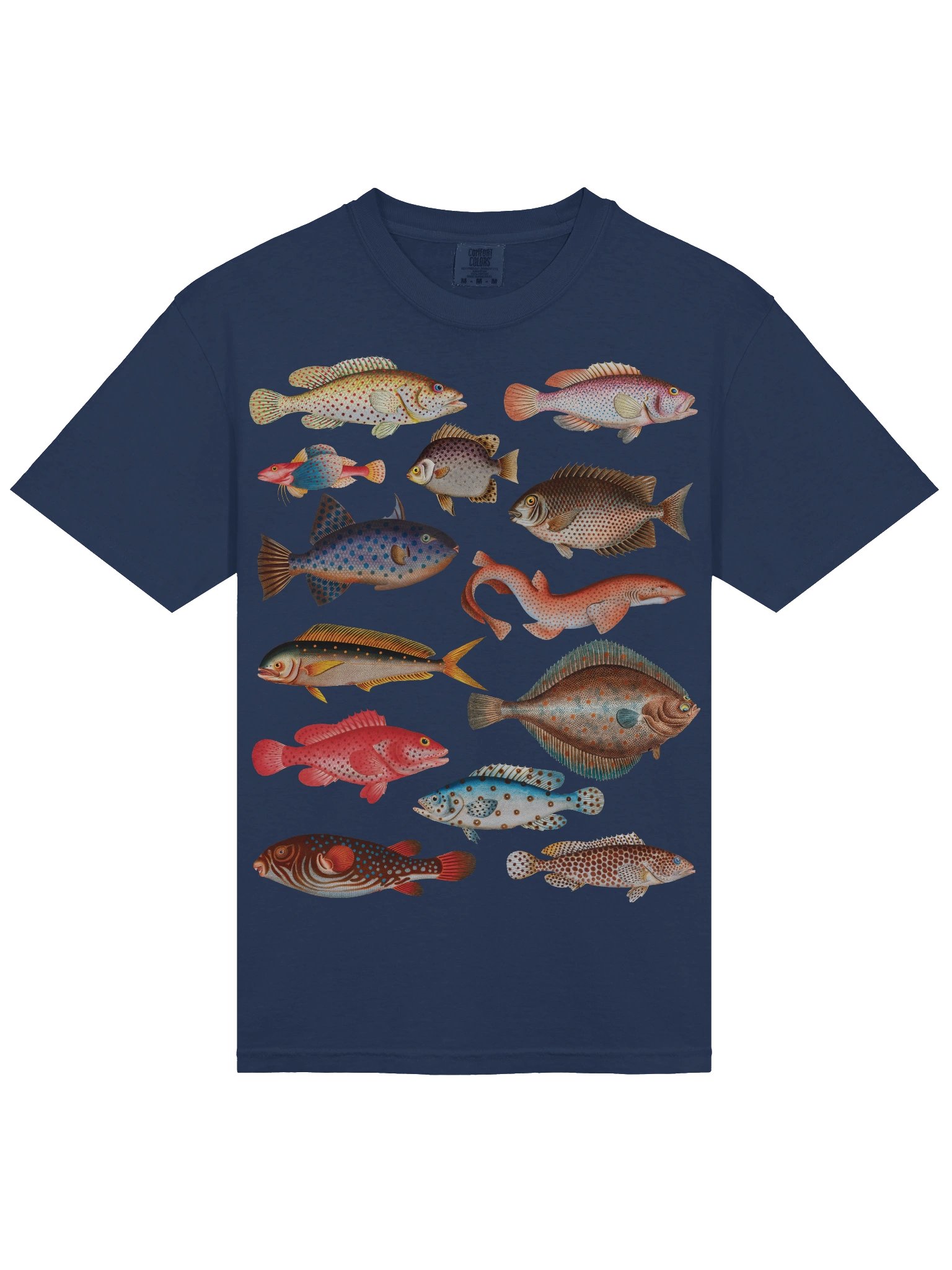Vintage Fish Illustration Shirt – Ichthyology Graphic Tee, Dark Academia Style product image (15)