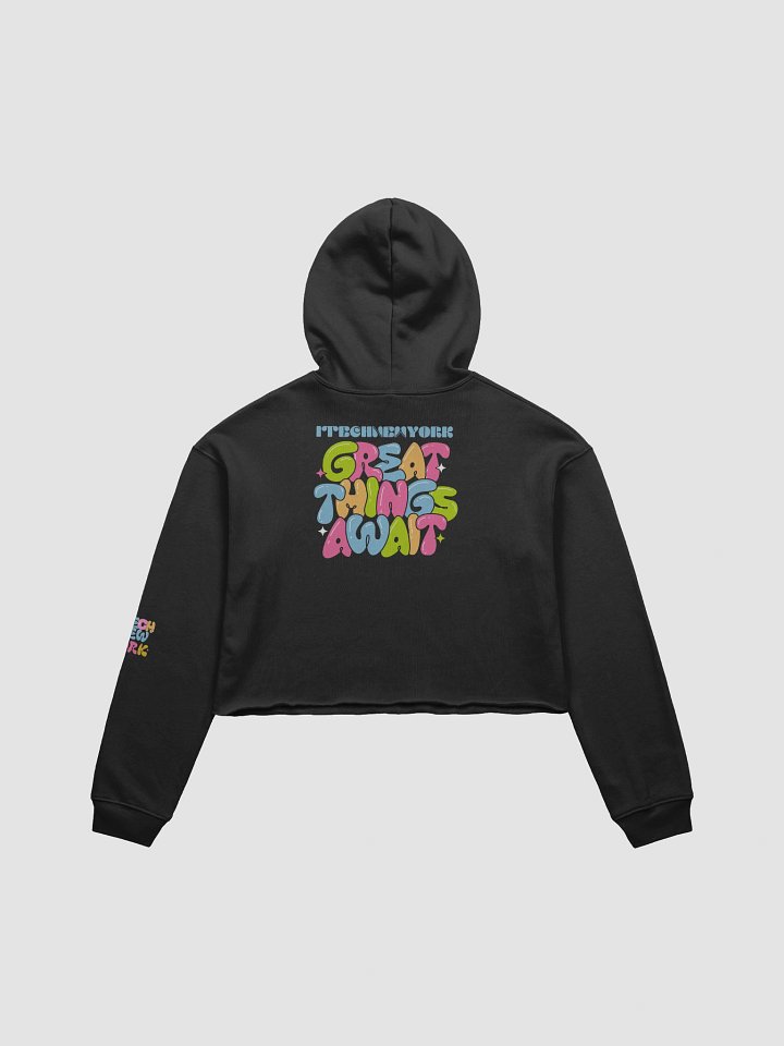 Bubble Letter Crop Hoodie - TECH NEW YORK Edition product image (8)