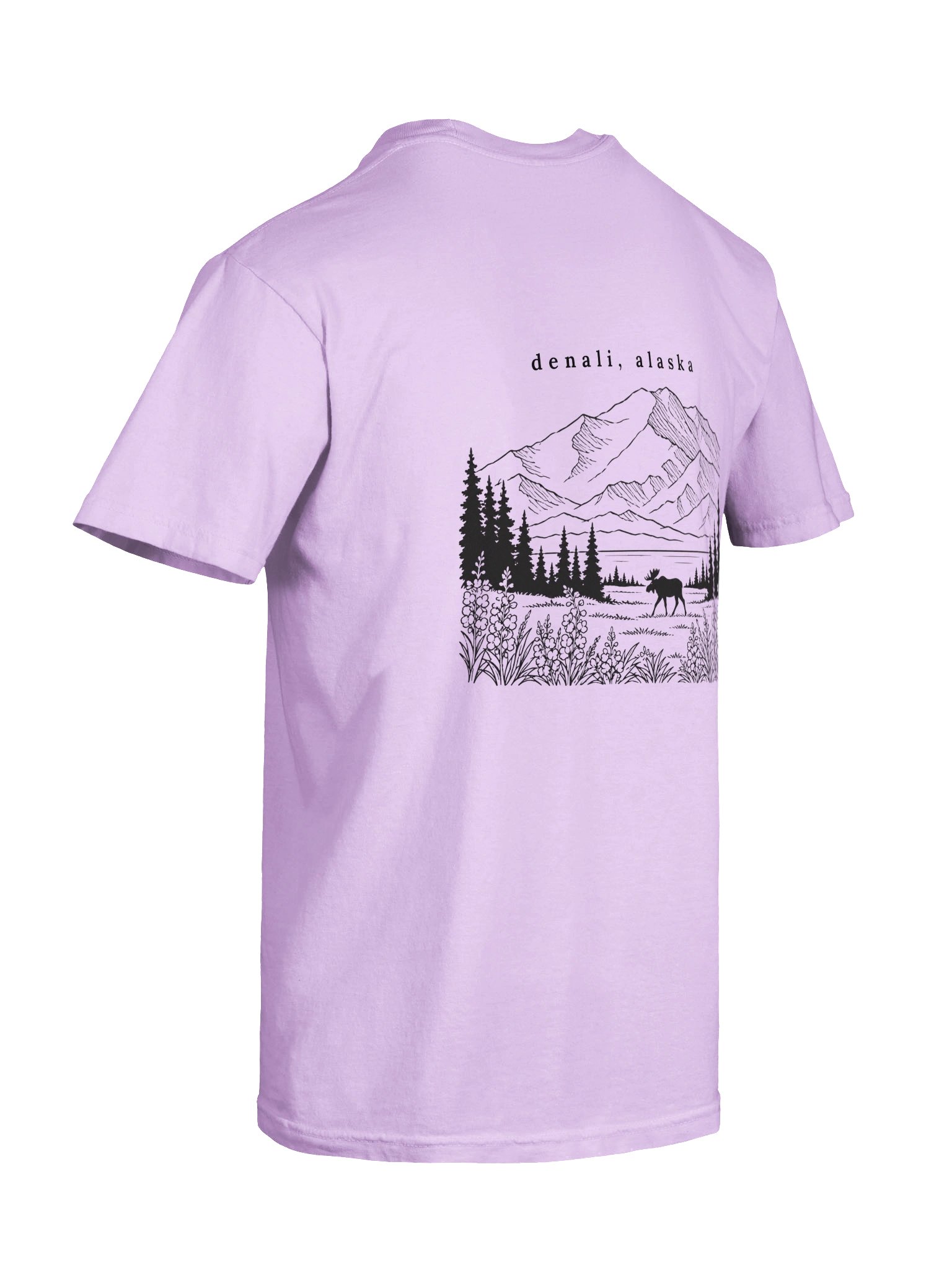 Denali: Arcticbloom Tee product image (8)
