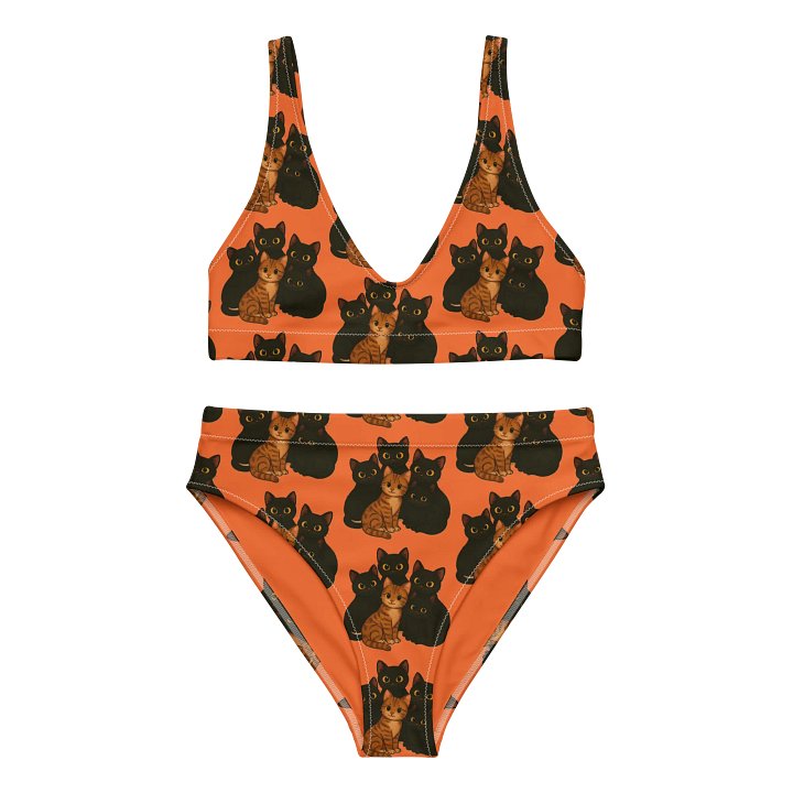Cat High Waist Bikini Set product image (1)
