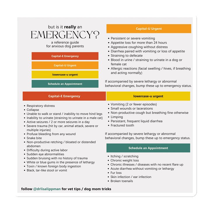 Emergency Urgency Dog Magnets product image (2)