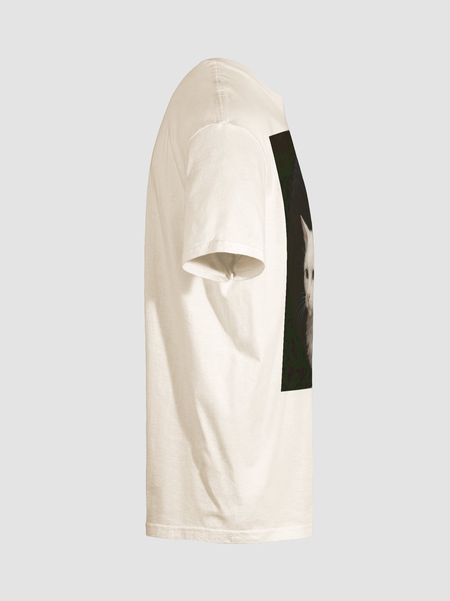 The Truth product image (28)