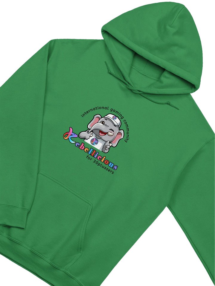 Gildan Classic Hoodie product image (2)