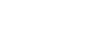 MickeyJoTheatre