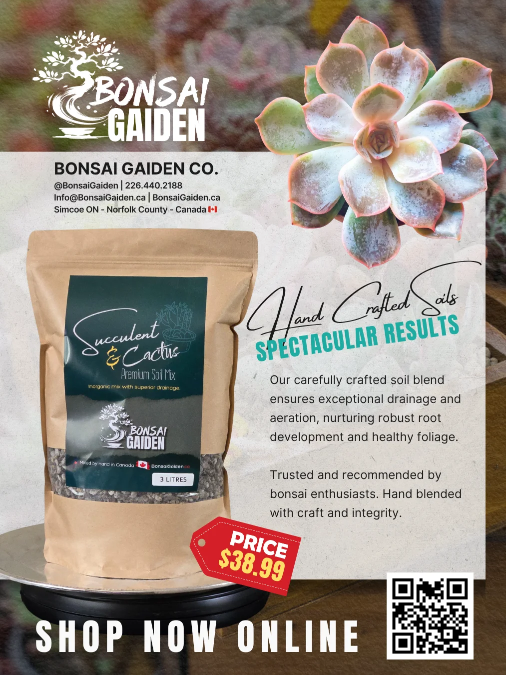 Succulent & Cactus Soil product image (3)