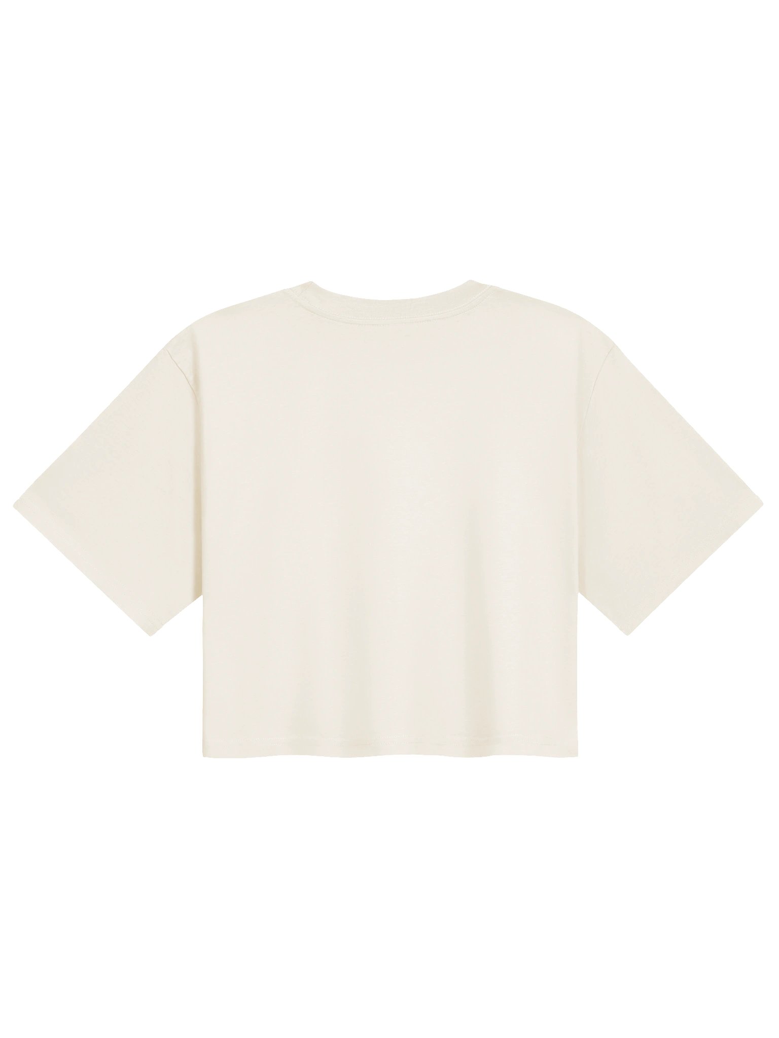 Curvy In My Sprite Era Crop Tee product image (6)