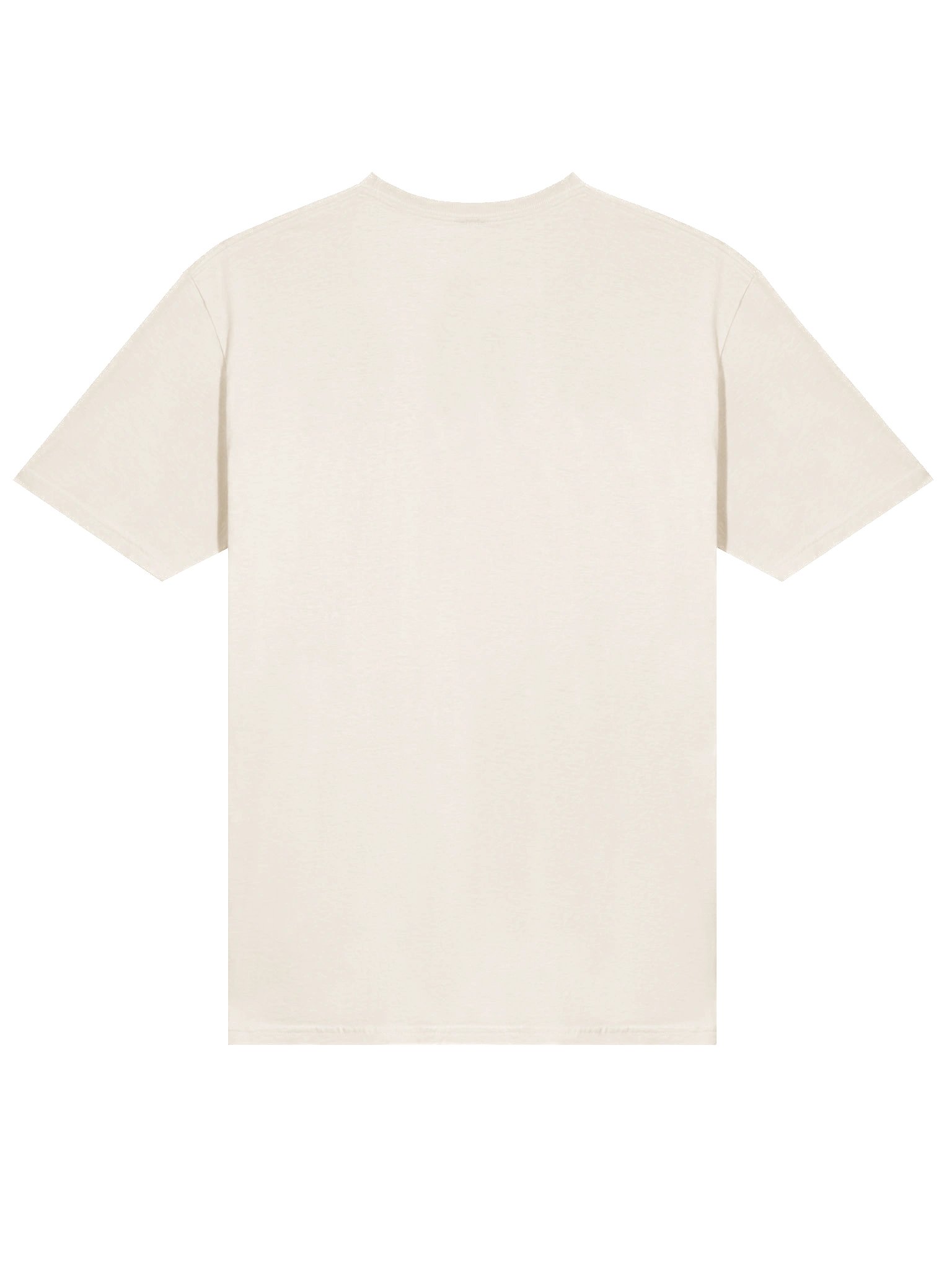 Spaghetti Is Served | Gildan Unisex T-Shirt product image (205)