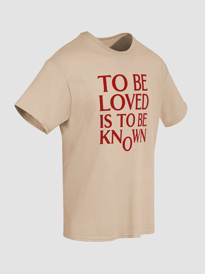 To Be Loved Is To Be Known Shirt - Zendaya The Drama Tour product image (2)